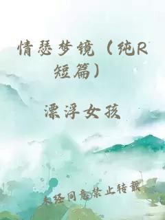 情瑟梦镜（纯R短篇）